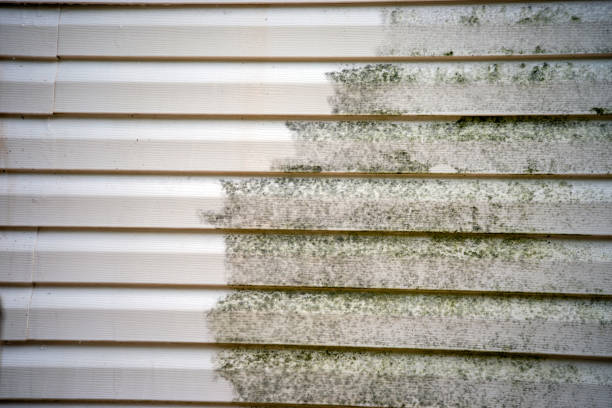 Best Composite Siding  in Black Diamond, WA